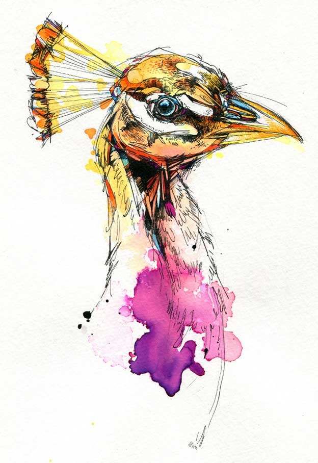 Abby Diamond's Beautiful Ink And Watercolour Birds