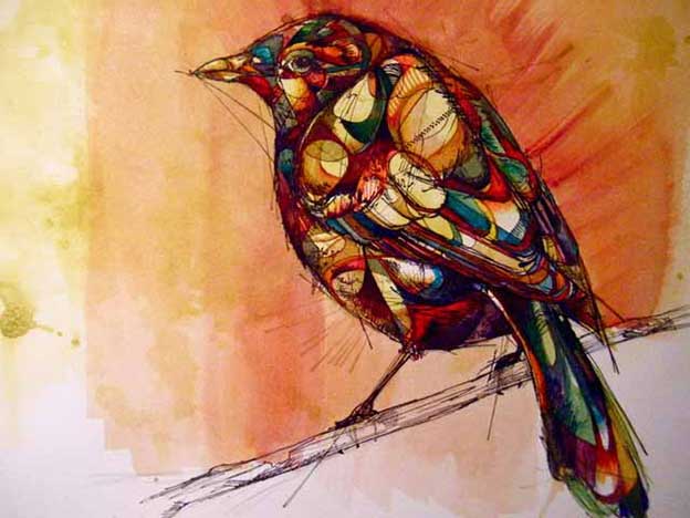 Abby Diamond's Beautiful Ink And Watercolour Birds