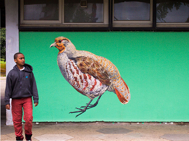 Street Artist ATM's Paintings Of Birds In Urban Settings