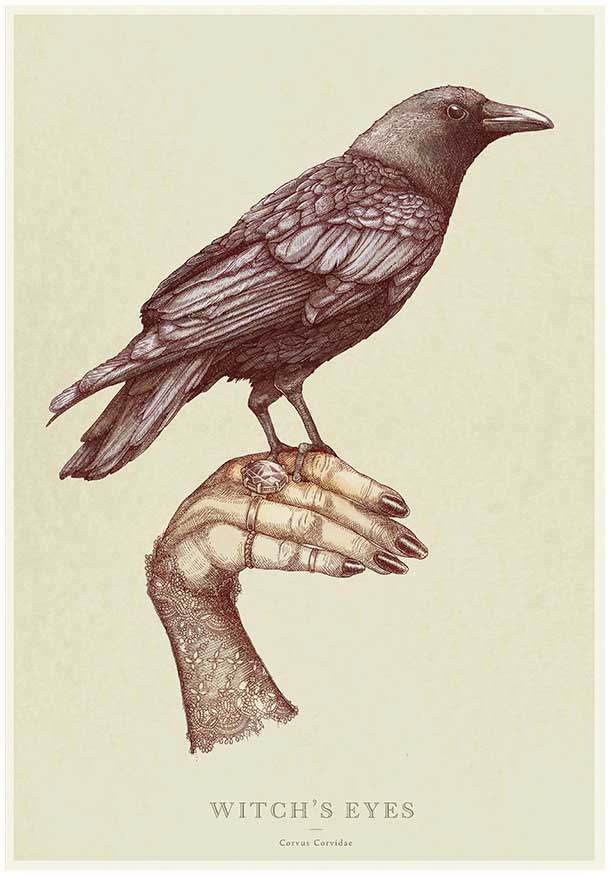 Detailed Etchings Of Birds That Show Their Relationship With Man