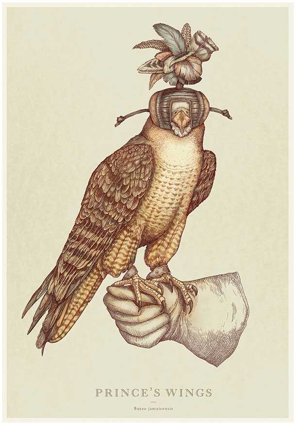 Detailed Etchings Of Birds That Show Their Relationship With Man