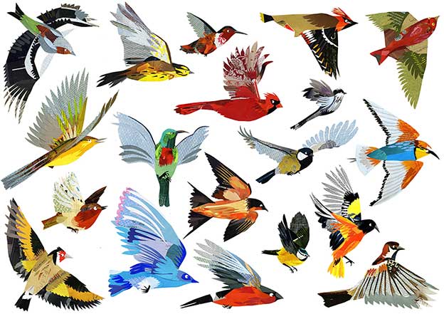 Flock Of Birds Collage For Yorkshire Sculpture Park