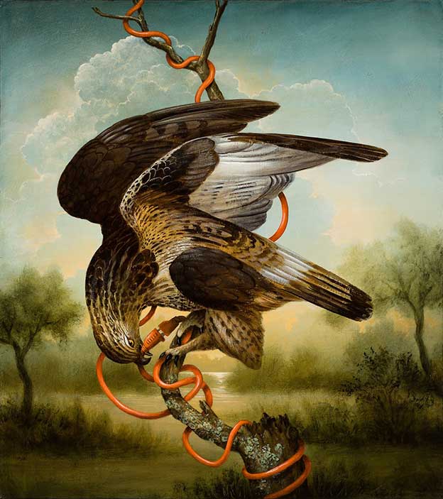 The Magical Realism Of Kevin Sloan's Paintings Of Birds