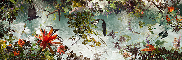 Ysabel LeMay's Wonderfully Detailed Pictures Of Birds And Plants