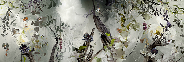 Ysabel LeMay's Wonderfully Detailed Pictures Of Birds And Plants