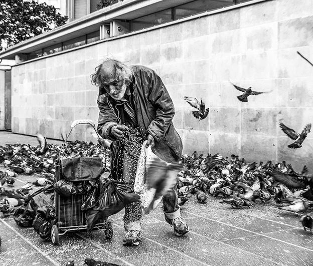 Touching Photograph Of The Man With The BIrds In Paris By Oliver Bär
