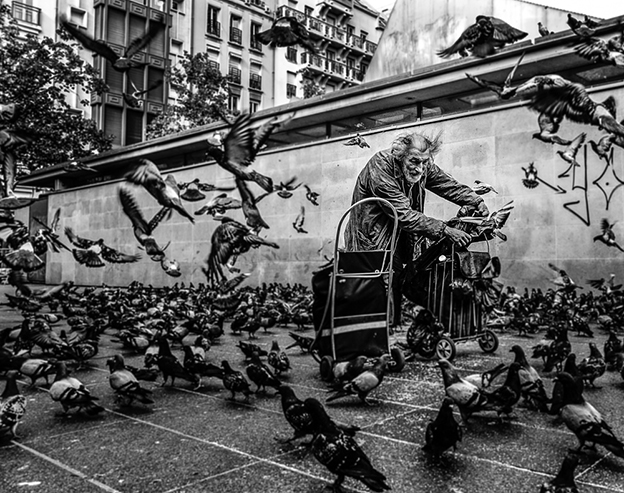 Touching Photograph Of The Man With The BIrds In Paris By Oliver Bär