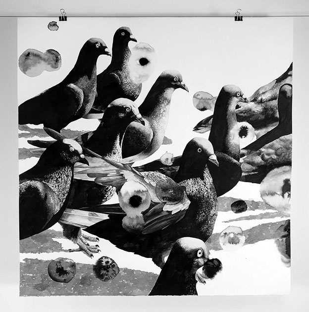Racing Pigeons Illustrated In Ink By Gawie Joubert