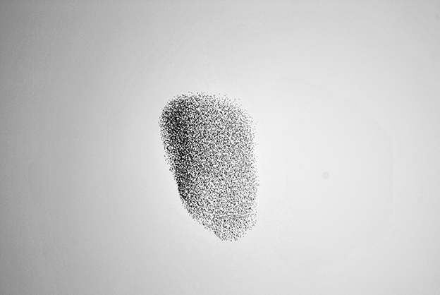 Simple But Powerful Black And White Photographs Of Murmurations