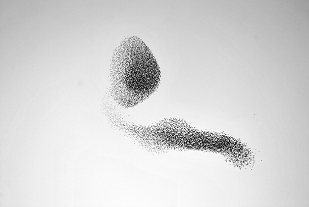 Simple But Powerful Black And White Photographs Of Murmurations