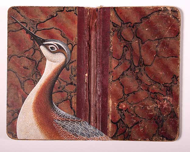 Stylised Paintings Of Birds On Vintage Ledgers