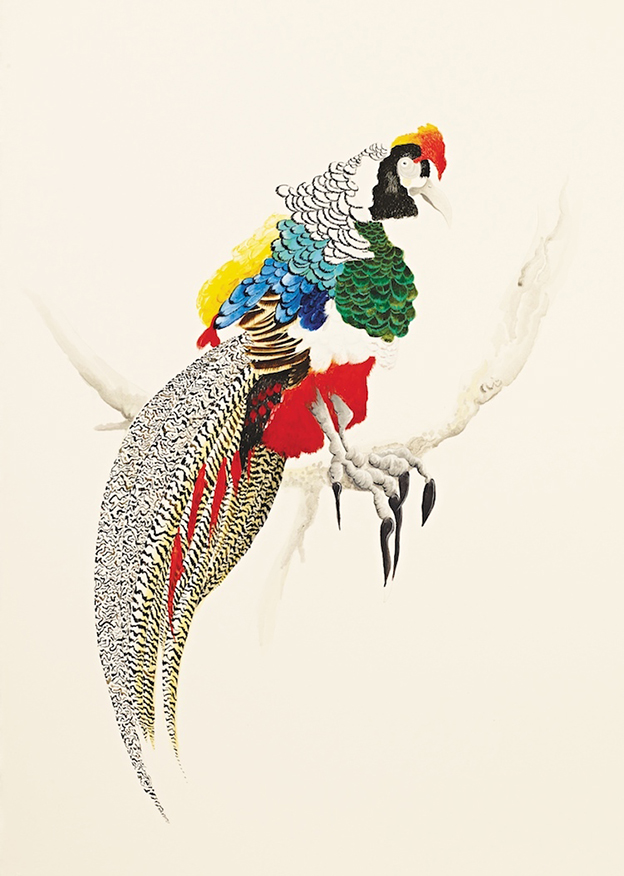Josh Robbins' Bright And Beautiful 'Blind Drawn' Australian Birds