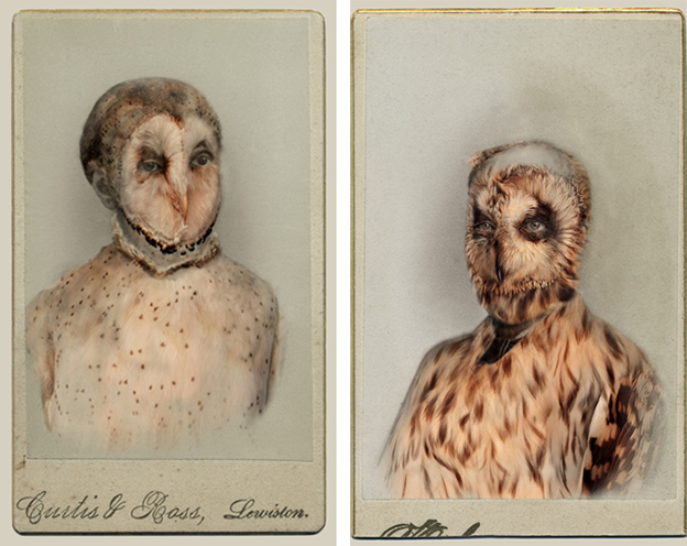 Sara Angelucci's Victorian Themed Aviary Series Of Humans With Bird Features