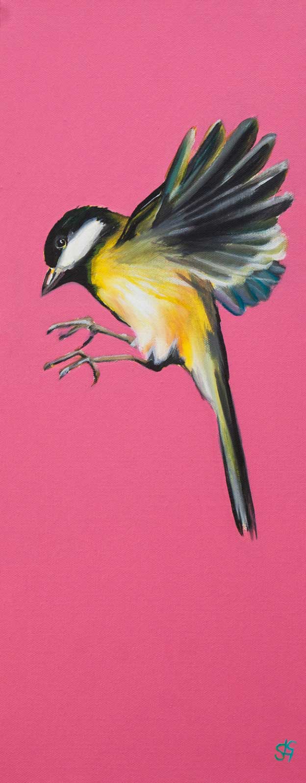 Sarah Graham's Colourful Acrylic Paintings Of Birds