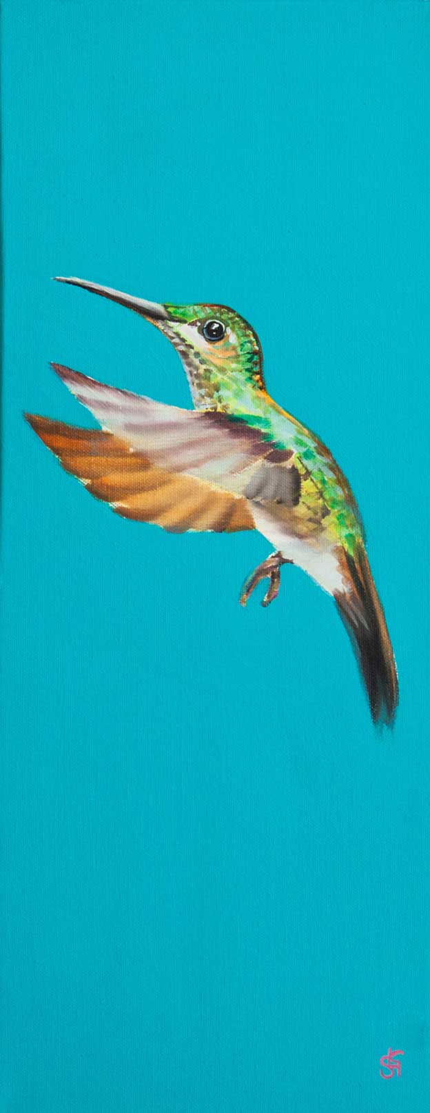Sarah Graham's Colourful Acrylic Paintings Of Birds