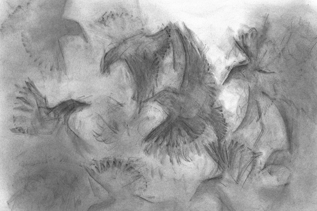Drawings Of Starlings Influenced By Mozart's Piano Concerto No. 17