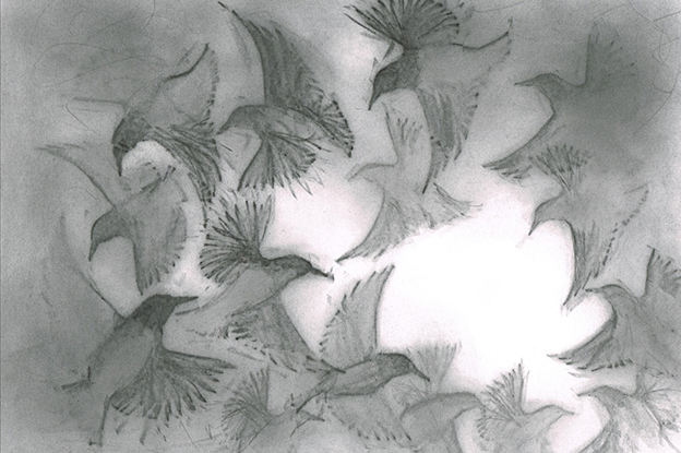 Drawings Of Starlings Influenced By Mozart's Piano Concerto No. 17