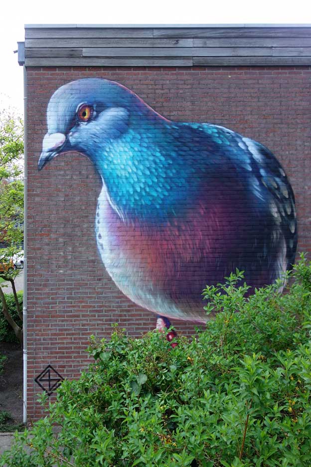 Super A's Giant Pigeon For The MuralGoes Festival