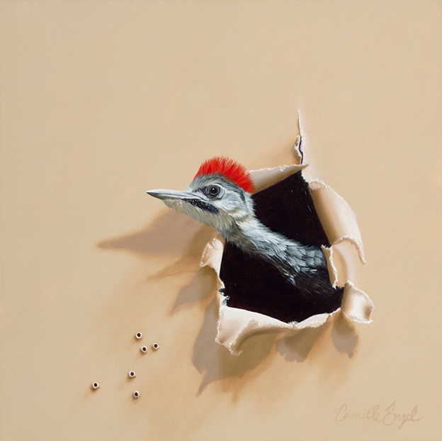 Paintings Of Birds Portrayed As Welcome Trespassers In An Artist's Studio