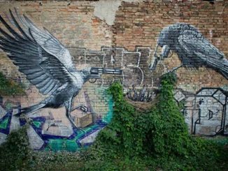Lonac's New Piece 'Nest' Featuring Birds With Gun Heads Painted On The Streets Of Zagreb, Croatia
