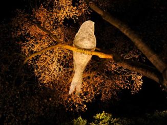 Giant Luminous Wire Birds In Trees By Cédric Le Borgne