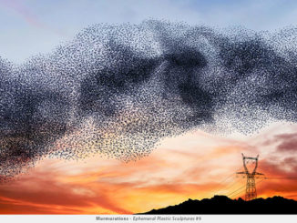 Alain Delorme's Murmurations Of Birds That Are Actually Plastic Bags