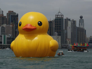 Florentijn Hofman's Giant Rubber Duck Floats Into Hong Kong Harbour