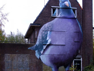 Giant Pigeon Painted On An Abandoned House