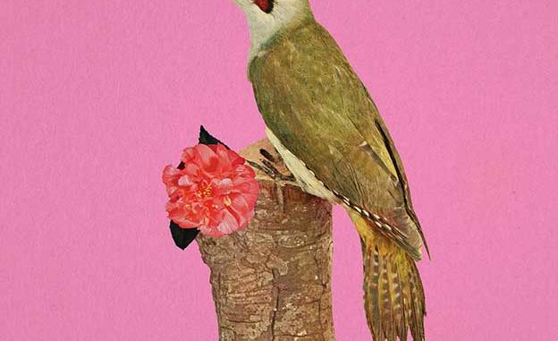 Paul Calderwood's Digital Collages Of Birds
