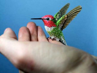 Zack Mclaughlin's Realistic Wood And Paper Birds